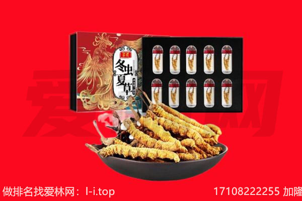 黔西南回收虫草.jpg